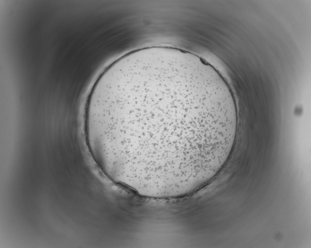 X0000097611104200803211717