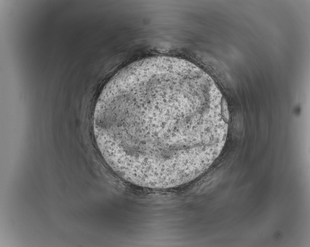 X0000097611105200803211716