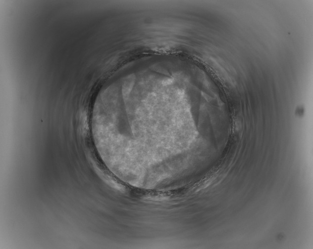 X0000097611106200803211716