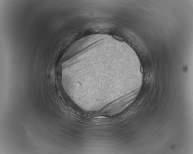 X0000097611108200803211716