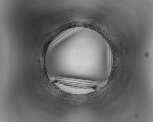 X0000097611109200803211716