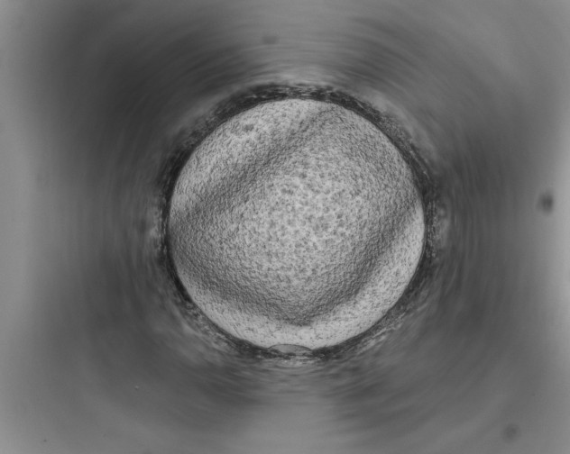 X0000097611110200803211716