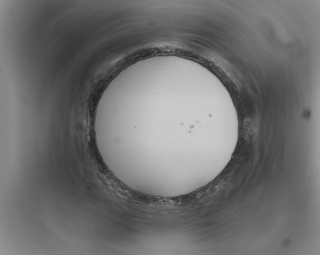 X0000097611111200803211716