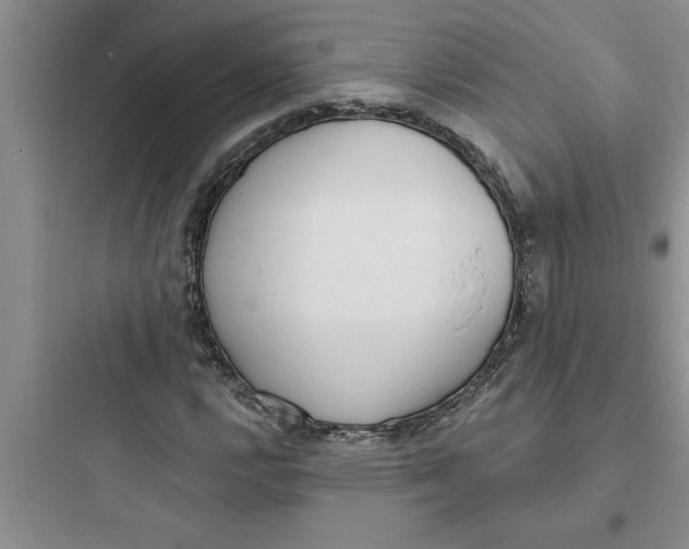 X0000097611112200803211716