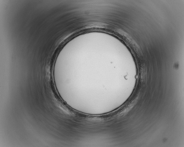 X0000097611113200803211716