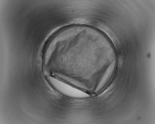 X0000097611115200803211717