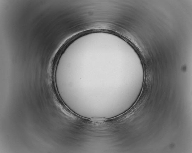 X0000097611116200803211717