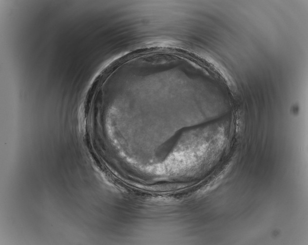 X0000097611117200803211717