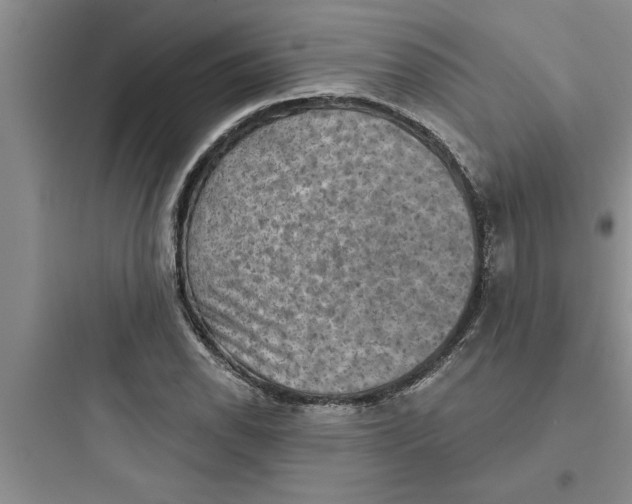 X0000097611118200803211717