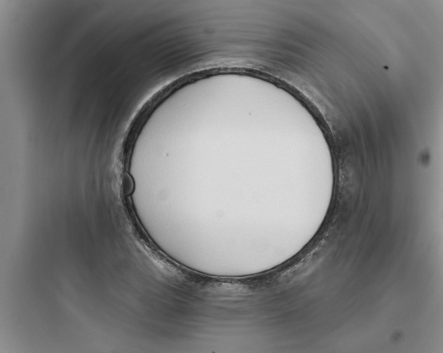 X0000097611119200803211717