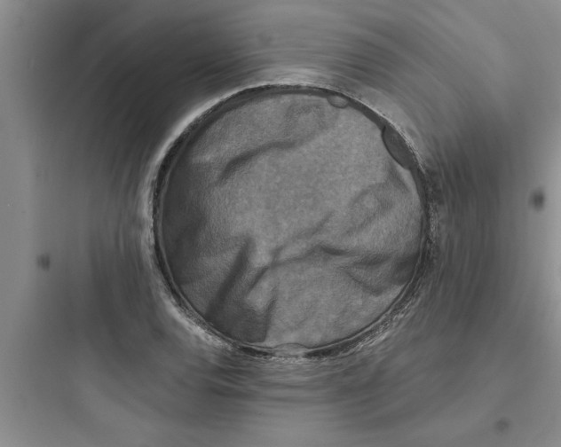 X0000097611120200803211717