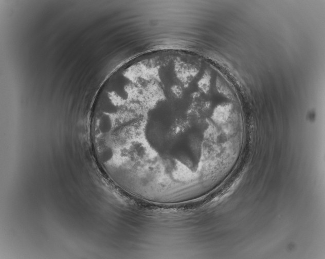 X0000097611121200803211717