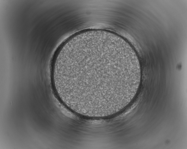 X0000097611122200803211717