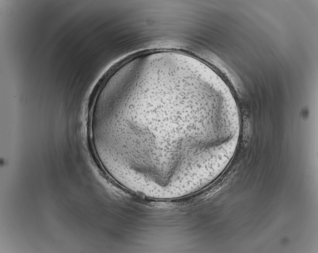 X0000097611124200803211717