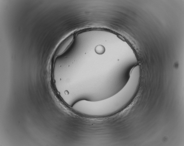 X0000097611126200803211717