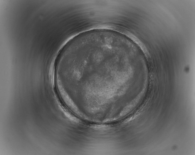 X0000097611127200803211717