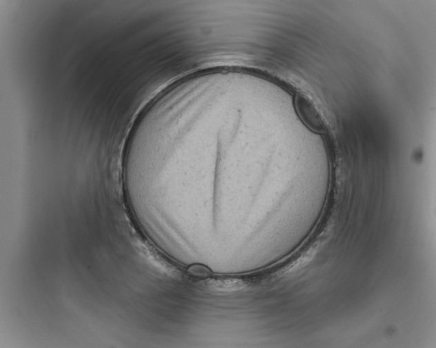 X0000097611129200803211717