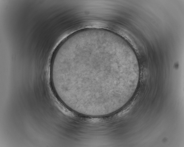 X0000097611130200803211717