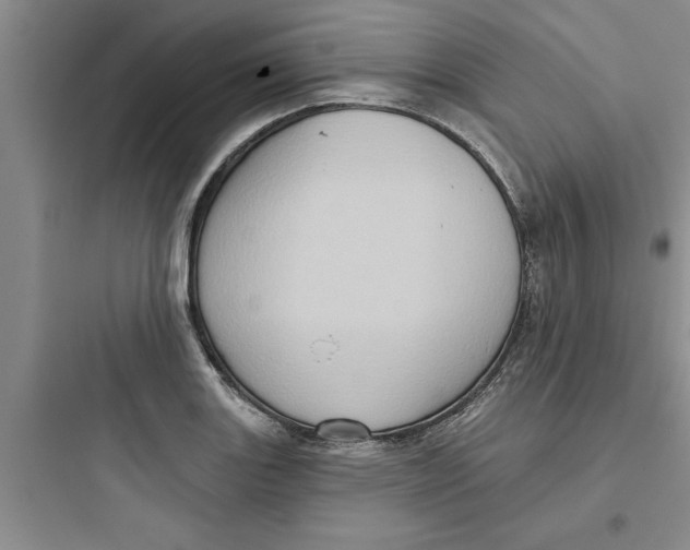 X0000097611131200803211717