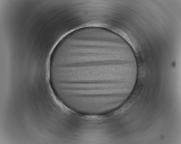 X0000097611132200803211717