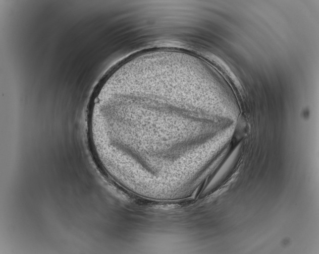 X0000097611133200803211717