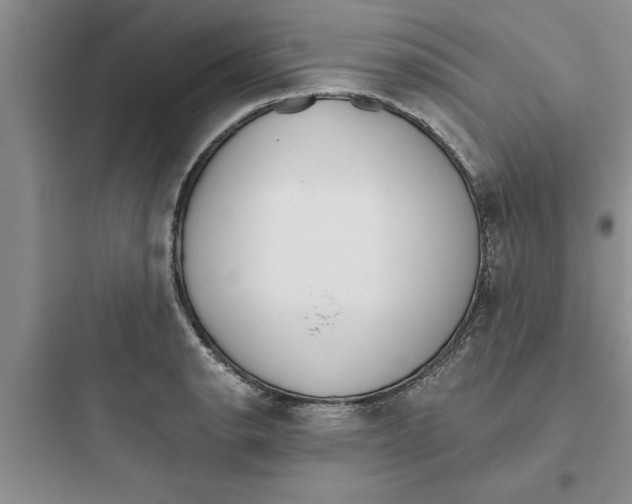 X0000097611134200803211717