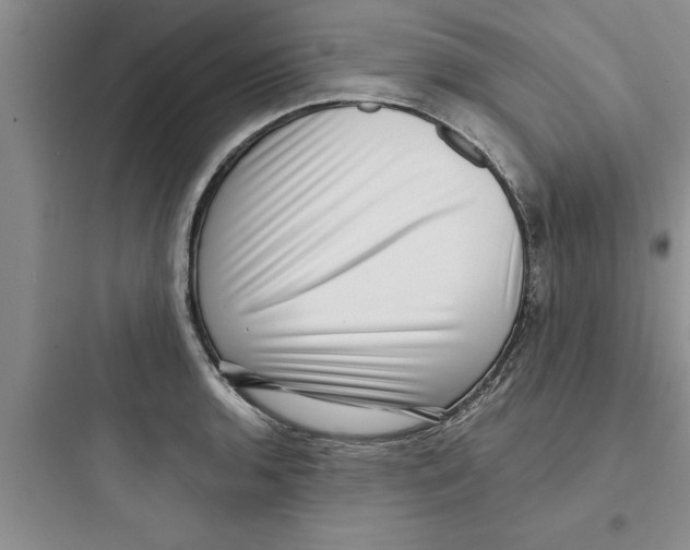 X0000097611136200803211717