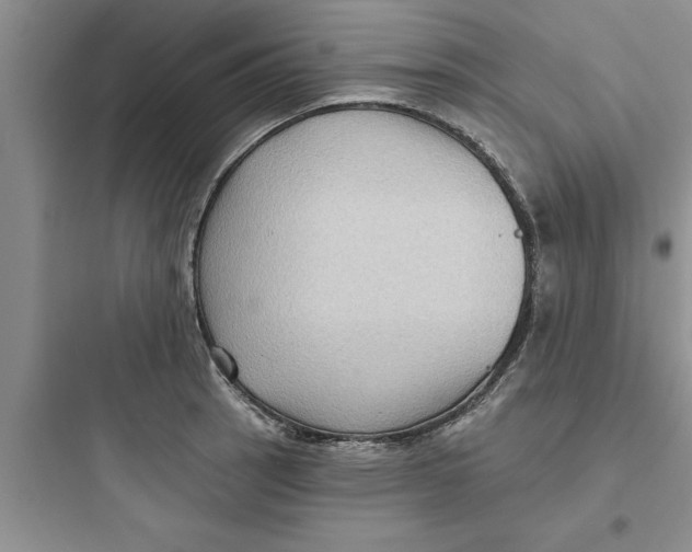 X0000097611137200803211717