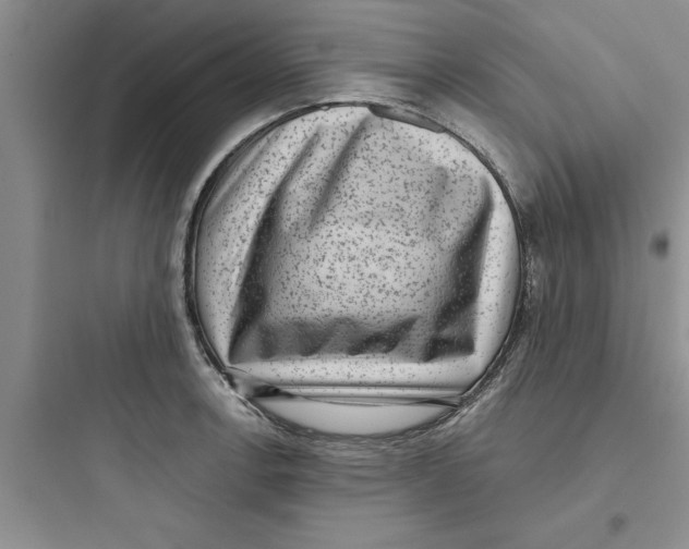 X0000097611138200803211717