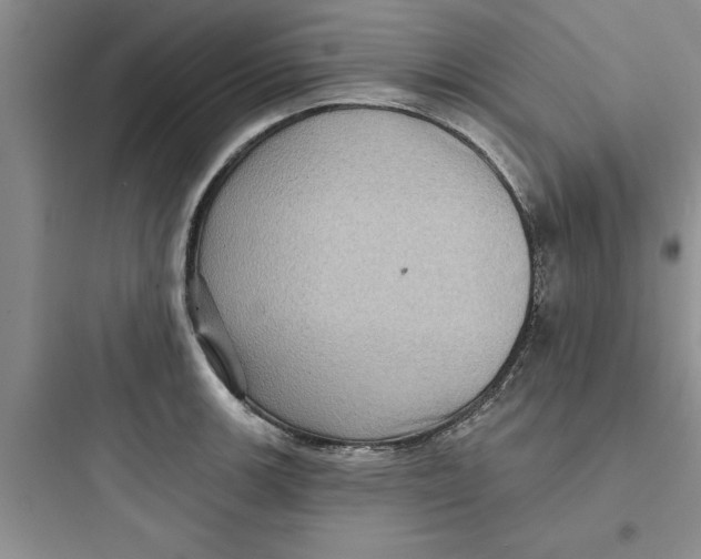 X0000097611139200803211717