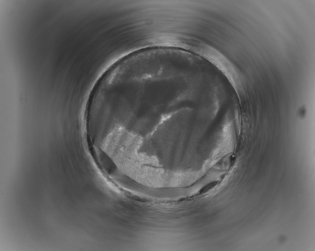 X0000097611141200803211717