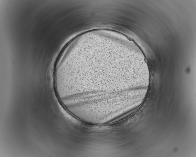 X0000097611143200803211717