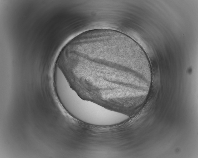 X0000097611144200803211717