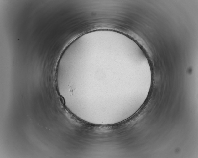 X0000097611145200803211717