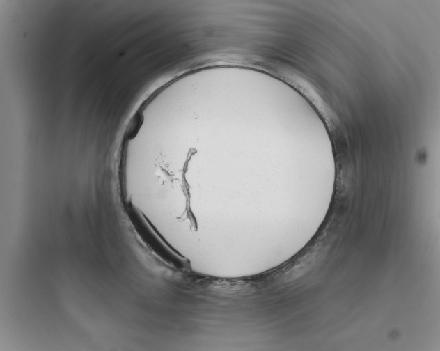 X0000097611146200803211717