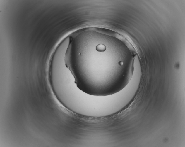 X0000097611147200803211717