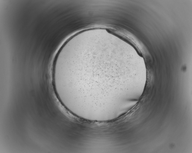 X0000097611148200803211717