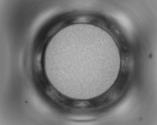 X0000097611150200803211717