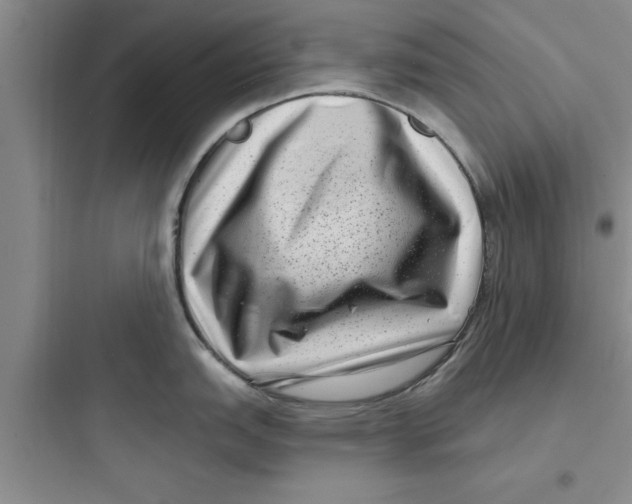 X0000097611151200803211717