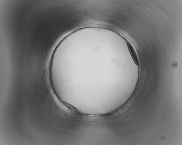 X0000097611152200803211717