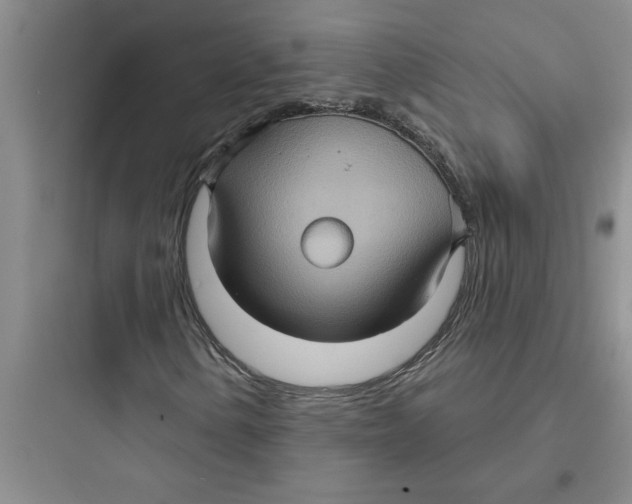 X0000097611154200803211716