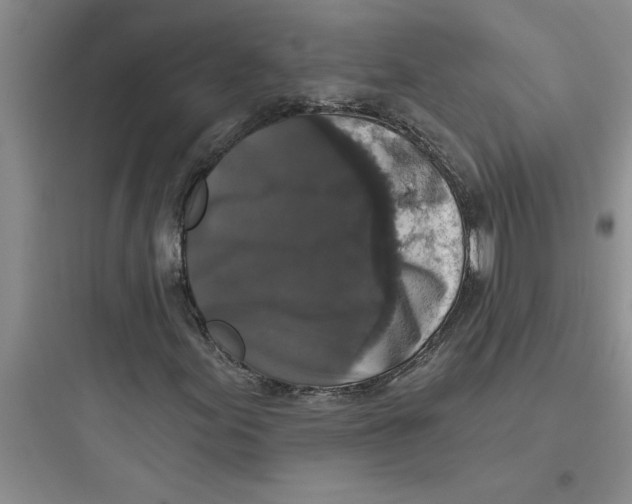 X0000097611155200803211716