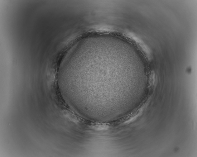 X0000097611157200803211716