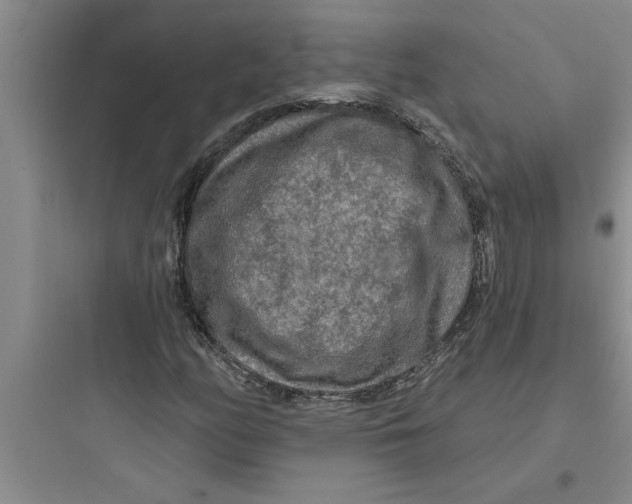 X0000097611158200803211716