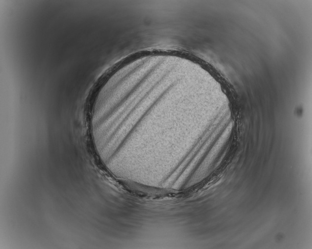 X0000097611160200803211716