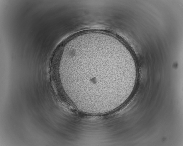 X0000097611163200803211716