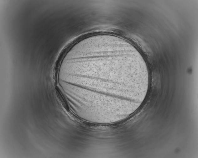 X0000097611164200803211716