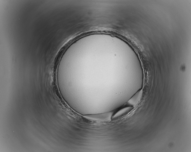 X0000097611165200803211716