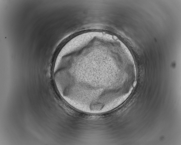 X0000097611166200803211716