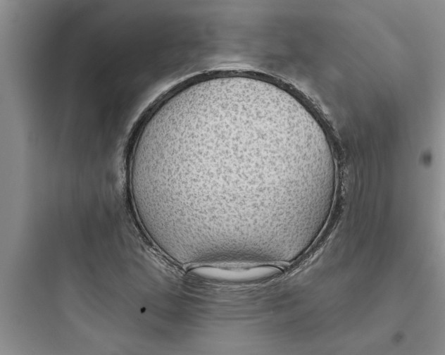 X0000097611167200803211716